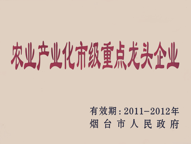 龍頭企業2011-2012